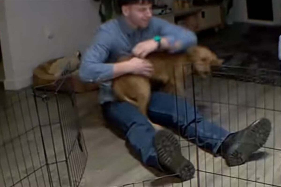 Marshall revealed that his dog Kiwi is even more obsessed with his girlfriend.