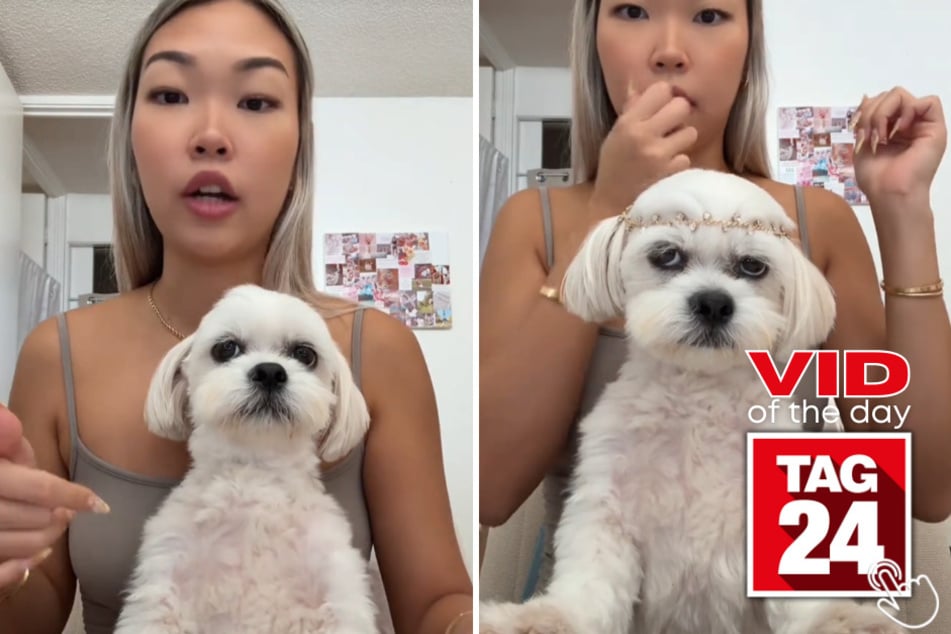 Tobi is NOT impressed with his mom's Halloween costume plans!
