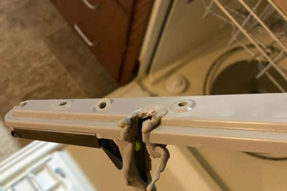 An item had fallen onto the heating element in the dishwasher and started to melt – a dangerous situation that could have had a very different outcome had Trident not raised the alarm.