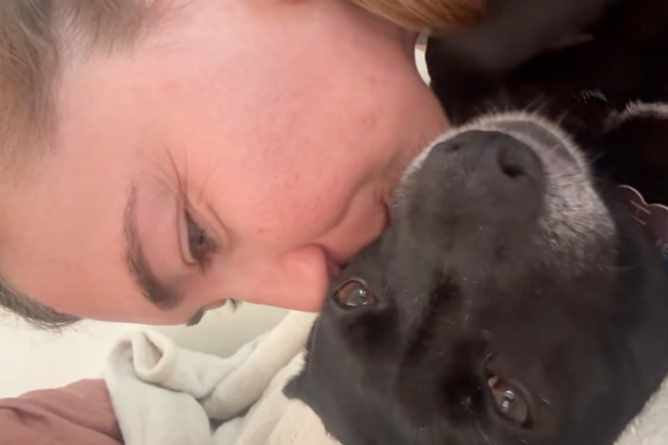 This dog's owner is brushing up on her rusty school Spanish.
