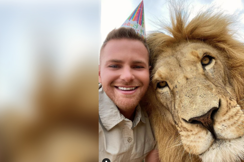 Zookeeper has a rip-roaring birthday with his lion best friend