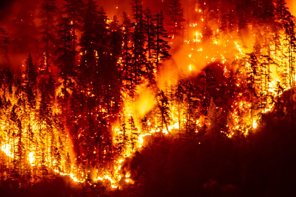 Researchers warn that climate change is fanning the flames of rampant and more extreme wildfires, which drive a jump in greenhouse gas emissions.