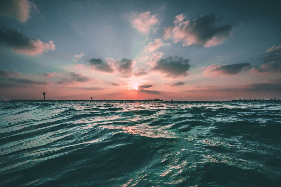 The world's oceans, forests, and soil absorb planet-heating carbon dioxide from the atmosphere, meaning they play a crucial role in efforts to stop temperatures from rising further.