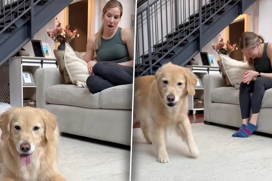 At first, dog owner Katie Bubolz is amazed at how her golden retriever Emma reacts to the song, but soon after she can hardly contain her laughter.
