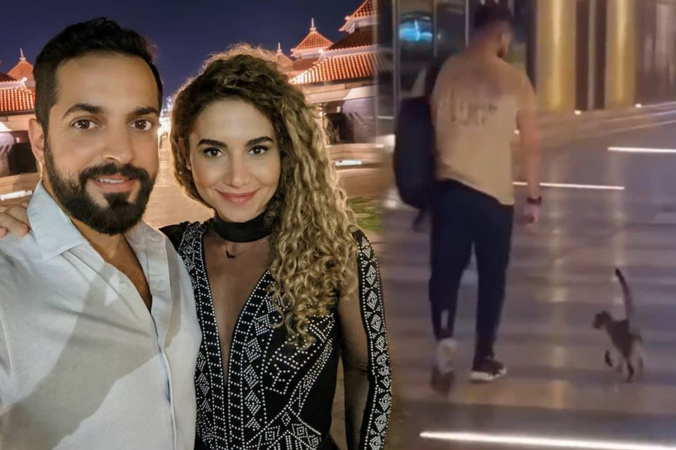 Basil Akwan and his girlfriend each took in one of the cats.