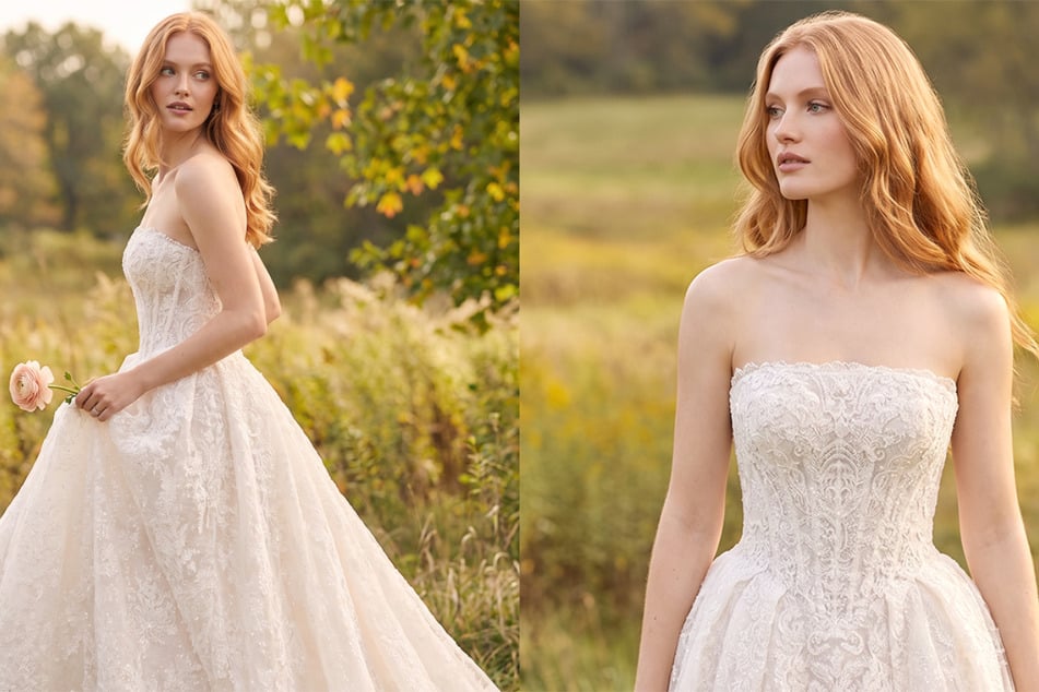 David's Bridal has become synonymous with quality garments at affordable price points.