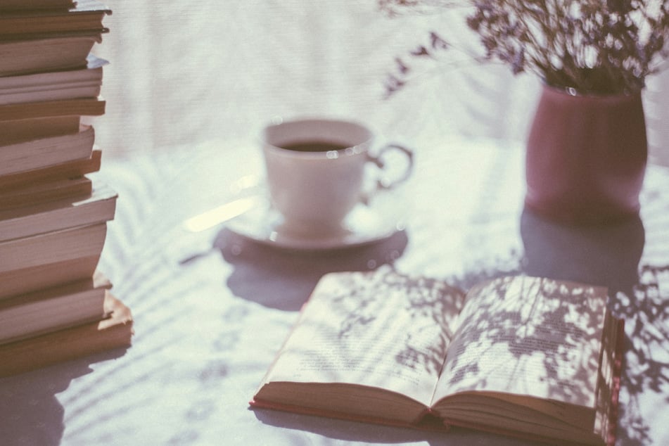 May 2026 welcomes new books from authors like Carley Fortune and Freida McFadden.
