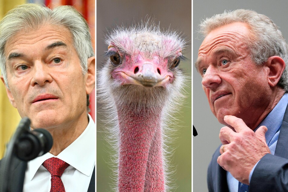 Robert F. Kennedy Jr. (r.) and Dr. Oz are fighting to save hundreds of ostriches that have been ordered to be killed to prevent a possible spread of bird flu.