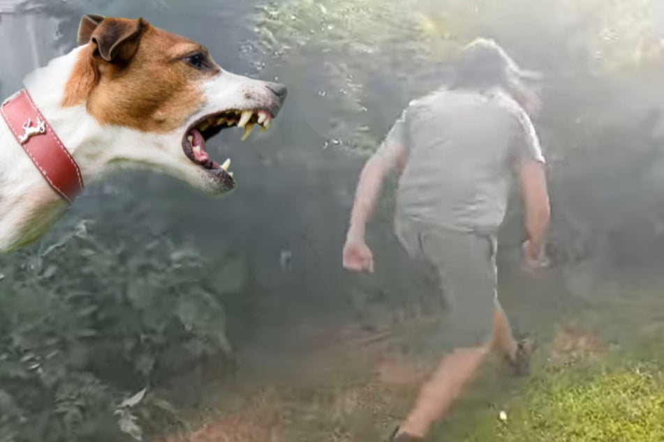 Family dog goes berserk and his owners panic when they realize why