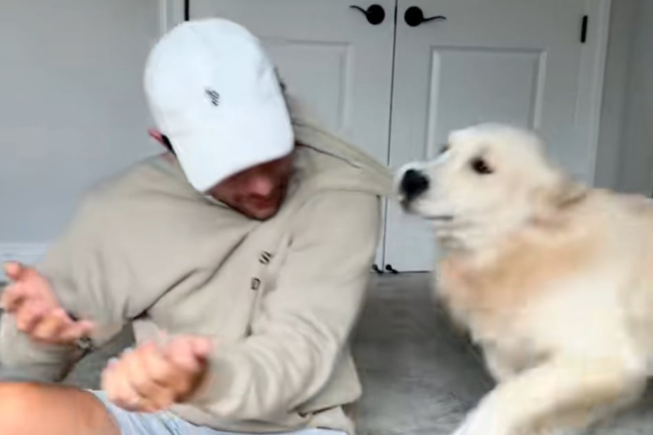 Corey Moriarty has grown accustomed to dog-driven mayhem after his second golden retriever turned out nothing like his first!