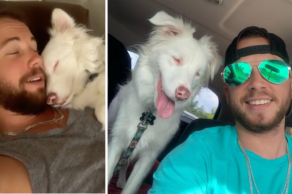 A deaf and blind Australian Shepard has gone viral on TikTok for her adorable way of communicating with her owner, Aiden.