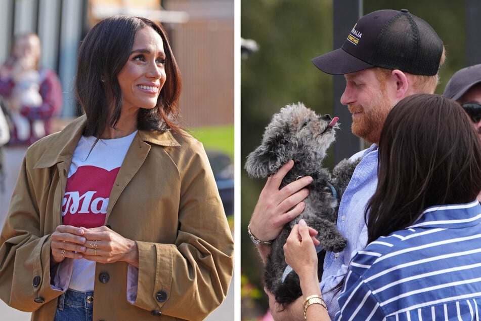 Prince Harry cuddles up to adorable dog as Meghan Markle films special TV appearance