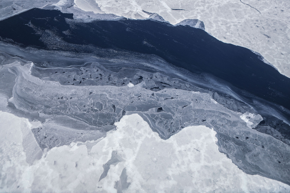 Antarctic sea ice has promising rebound after years of extreme lows