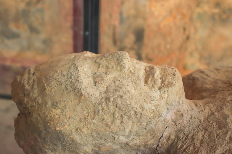 2500-year-old "Ice mummy" has insanely intricate tattoos