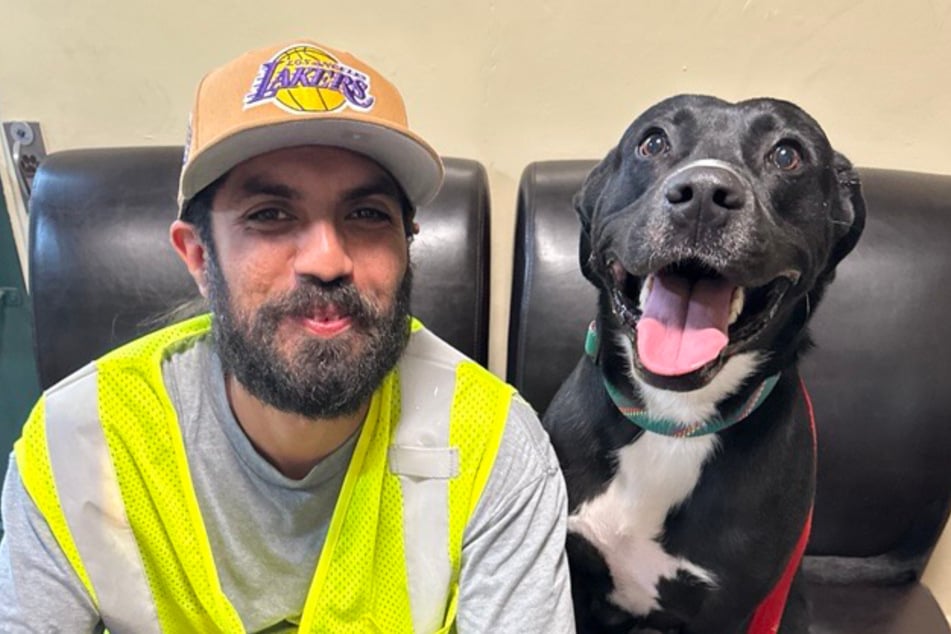 Dog dad sends pup to the shelter after losing everything – will they ever meet again?