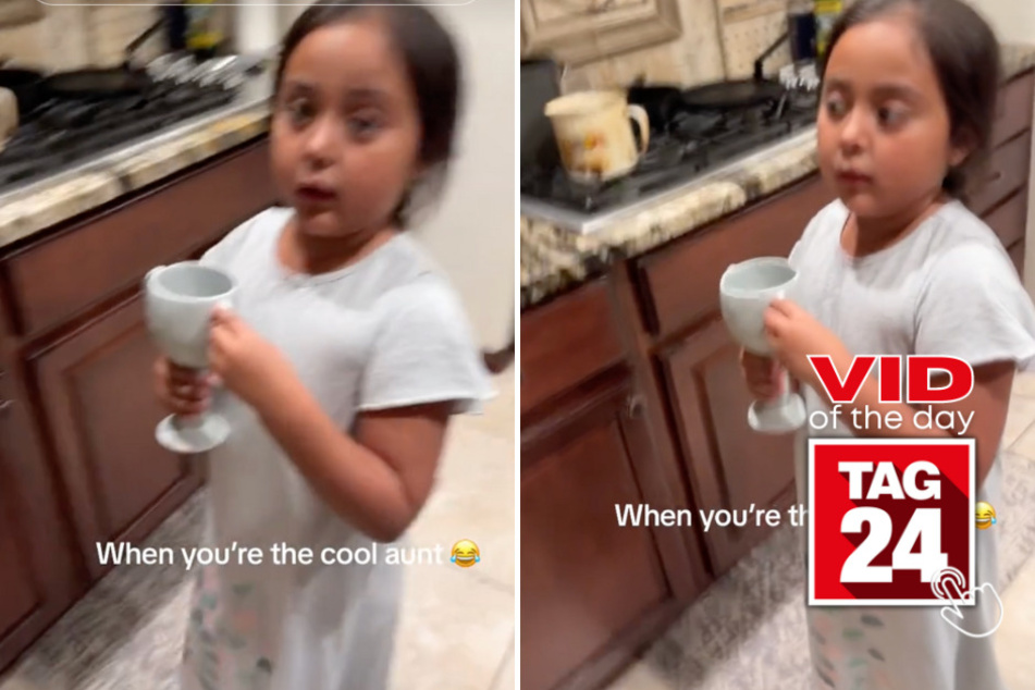 Viral Video of the Day for December 18, 2023: Little girl shuts down TikToker aunt with hilarious line