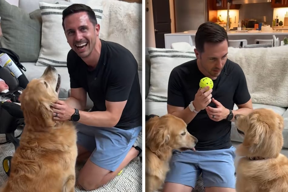 Kevin Bubolz cannot stop laughing when he realizes the dogs brought the new baby a ball.
