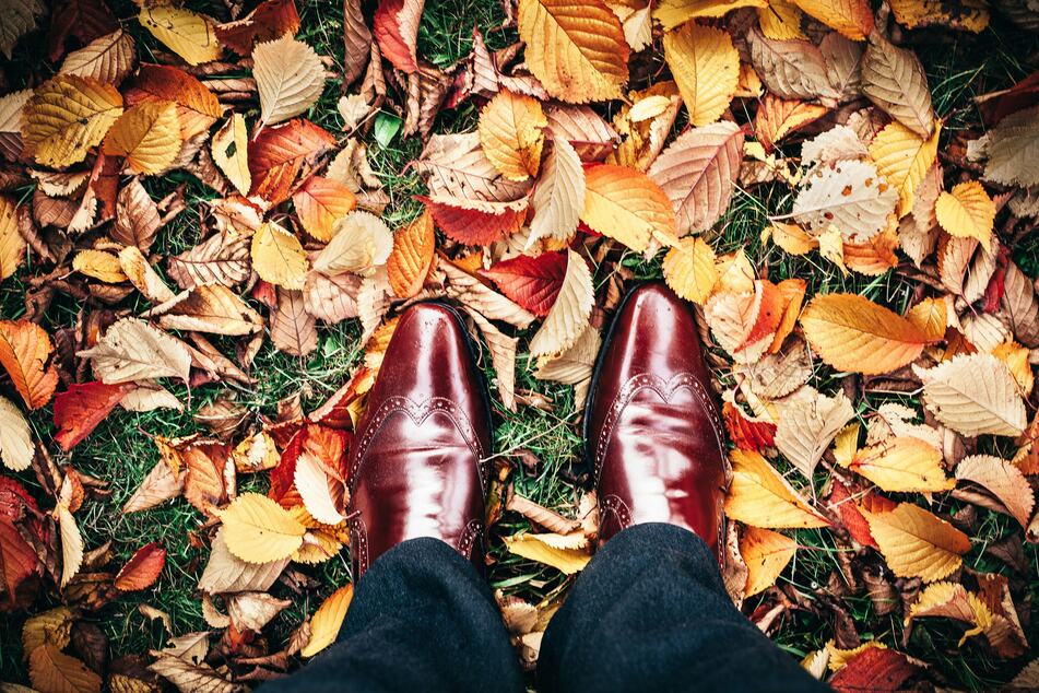 Fall Fashion 2026 horoscope: Your astrologically approved style advice