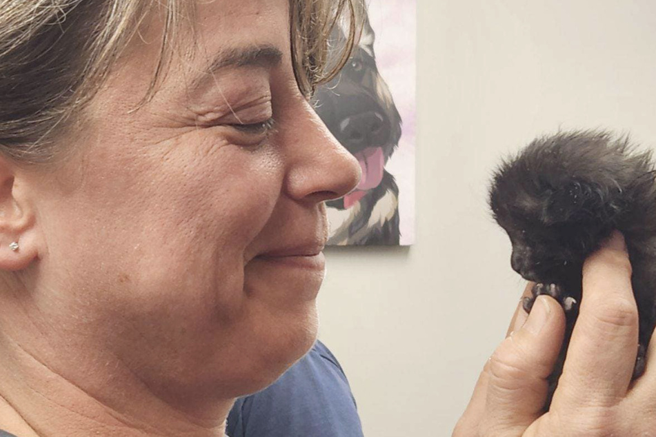 Kitten adorably named "Soot" rescued by firefighters in burning house
