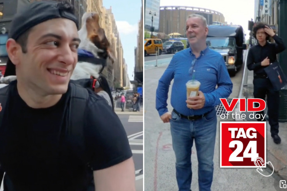 Viral Video of the Day for August 9, 2024: Dog becomes "Awoobulance" and clears the way in NYC!