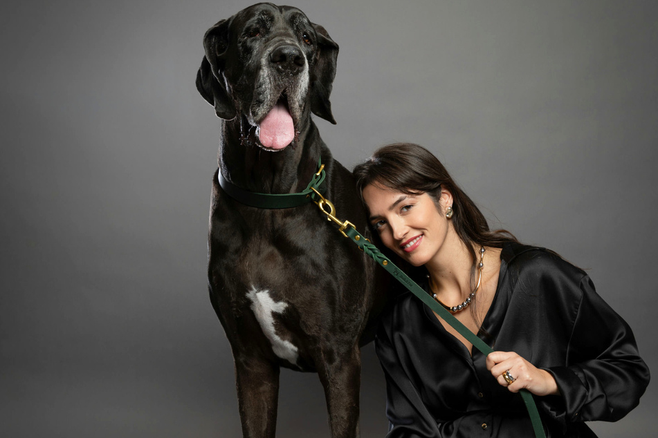 25% off on leashes and collars with code LFULUDH6.