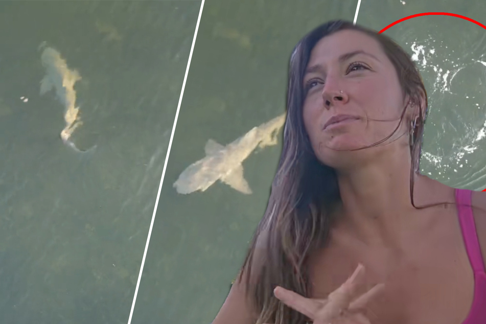 Shark leaves "heartfelt" message for woman in viral drone video!