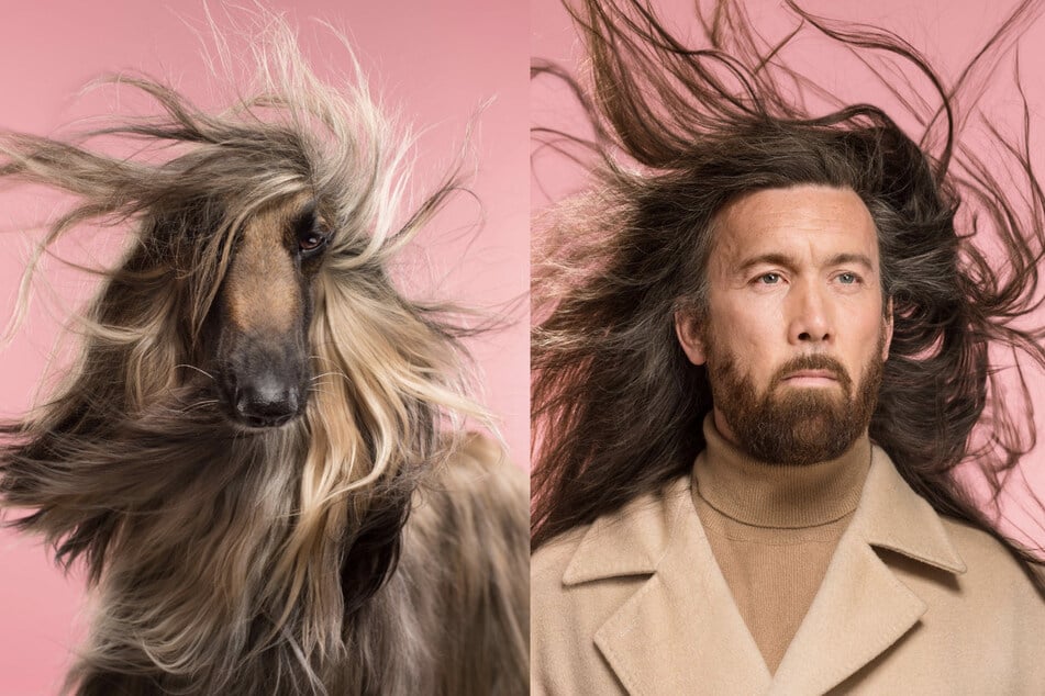Henry and Hope by Gerrar Gethings (above) is featured in Fotografiska's exhibit Best in Show: Pets in Contemporary Photography.
