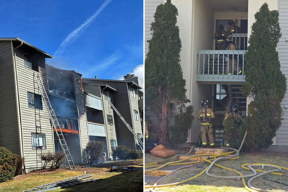 The fire had spread to the top floor of the apartment building.