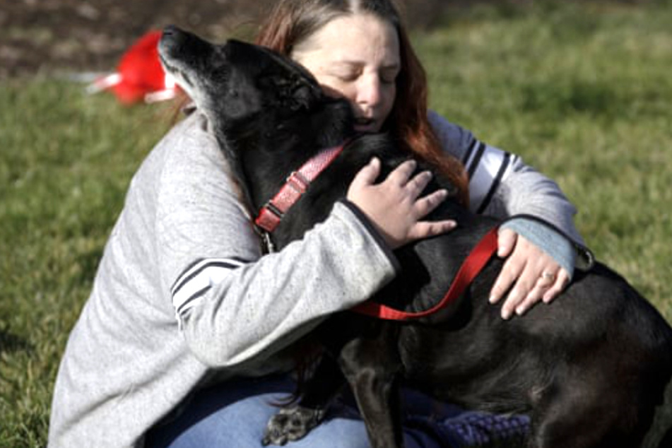 Woman gets an incredible call three years after her support dog disappeared
