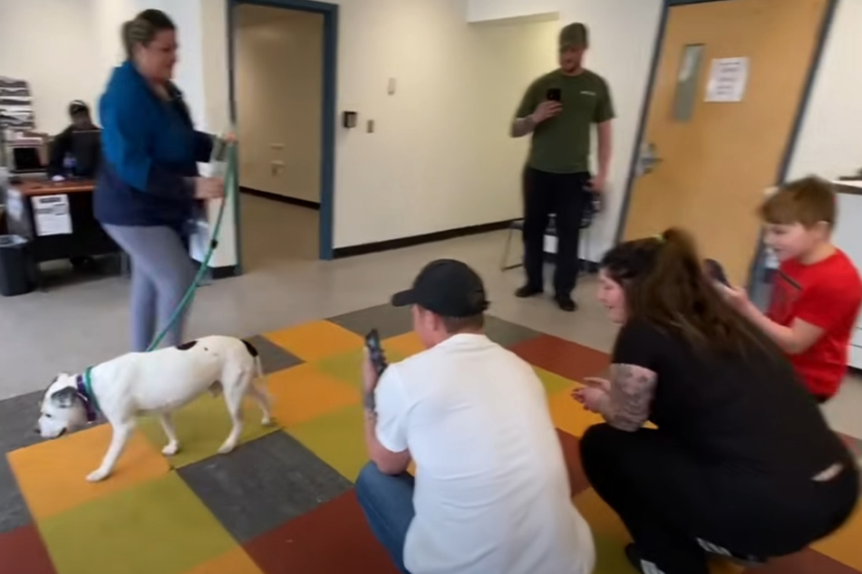 Forty wasn't sure what to think of the humans who were so excited to see him.