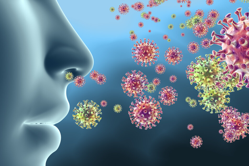 New study casts doubt over origin and timeline of coronavirus pandemic