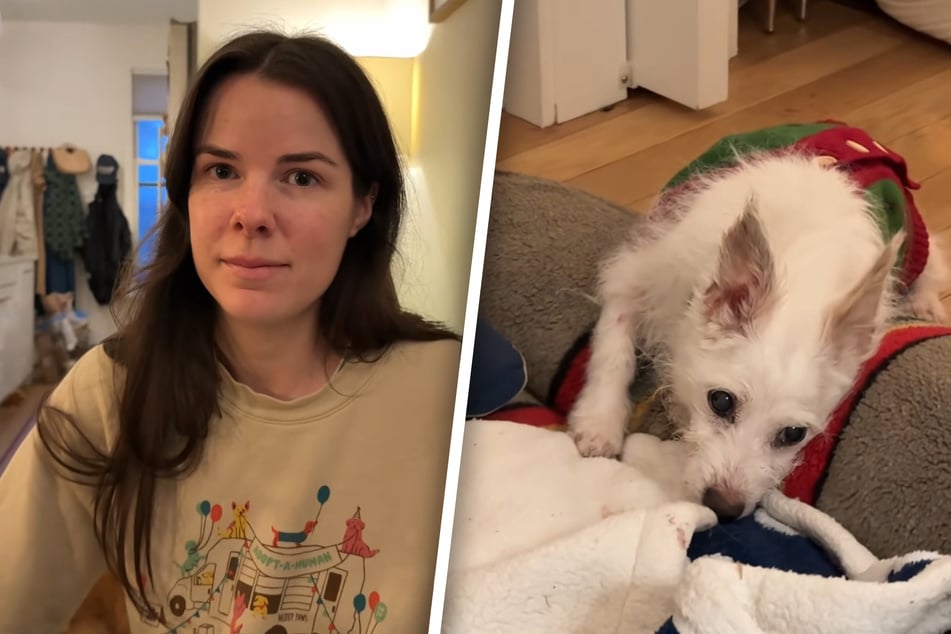 Woman adopts dying dog to give him a family on his final night: "Loved until his very last breath"