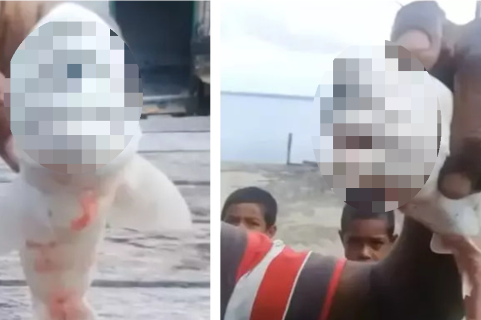 Men completely baffled after discovering strange one-eyed sea creature