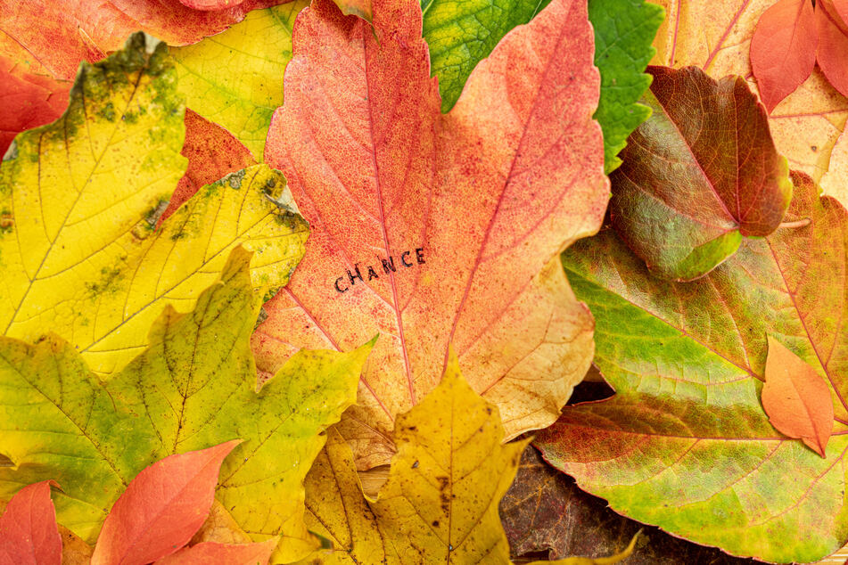 Your personal and free daily horoscope for Friday, 10/10/2025.