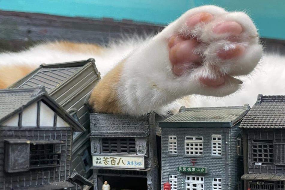 A giant cat paw towers over an unsuspecting miniature town at Diorama Restaurant in Osaka, Japan.