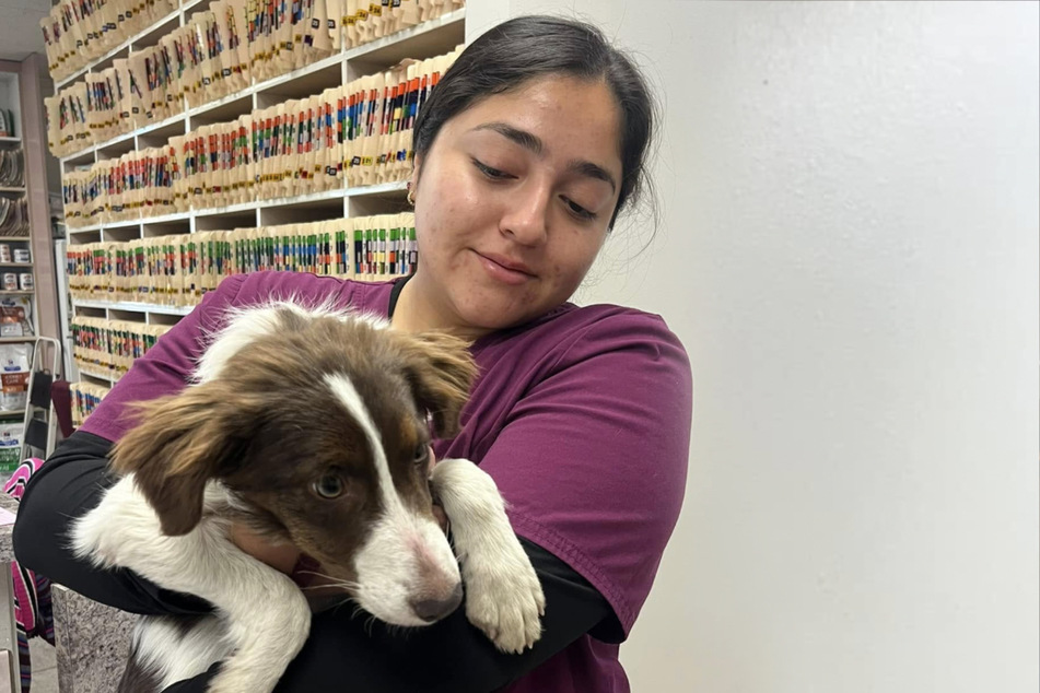 The rescued dog survived her operation without any complications.