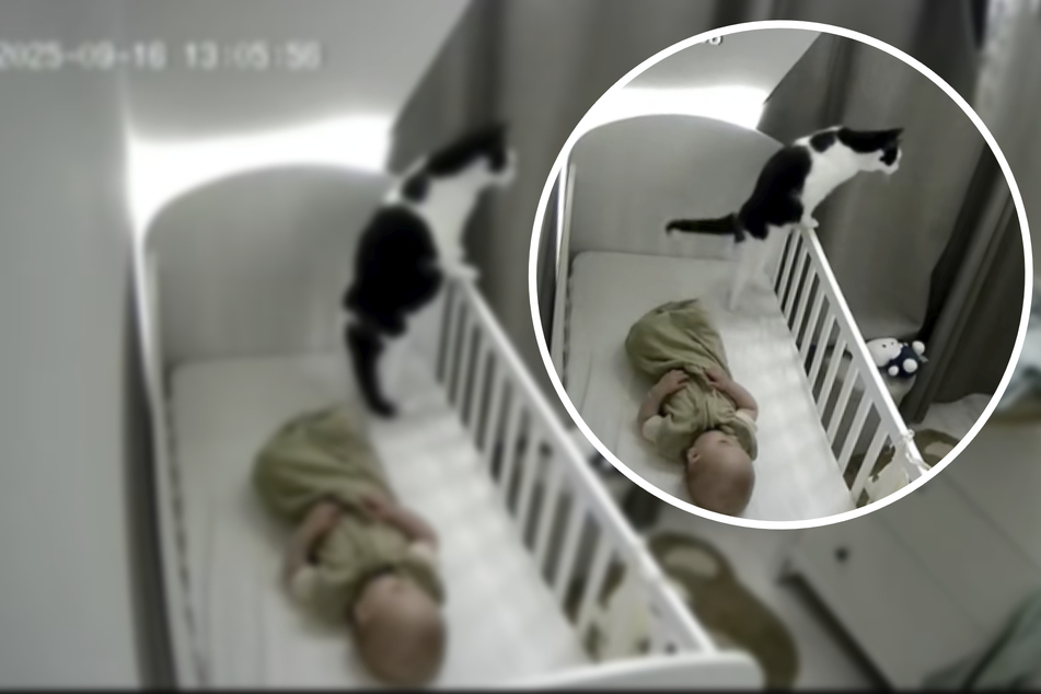 Cat owner is shocked to see what babycam captures her kitty doing while son is napping!