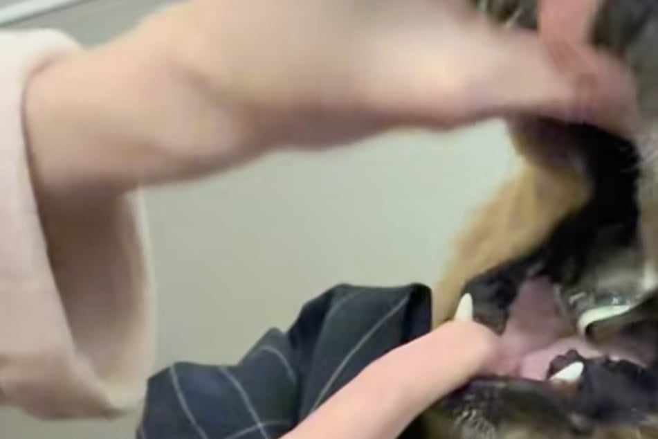 Oh no! The women found even more money in the dog's mouth.