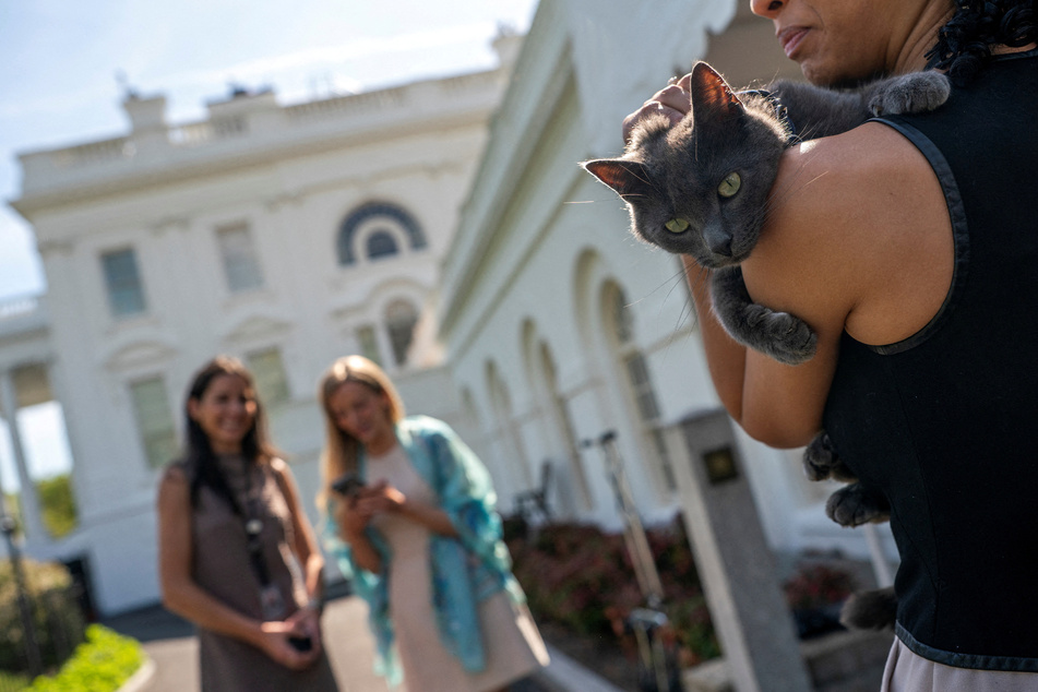 White House Meow! Cat takes a tour of North Lawn and briefing room