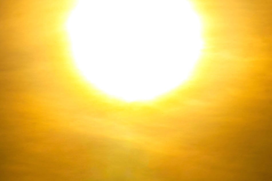 The UN's World Meteorological Organization sounded the alarm after its annual State of the Climate report confirmed record-breaking heat levels.