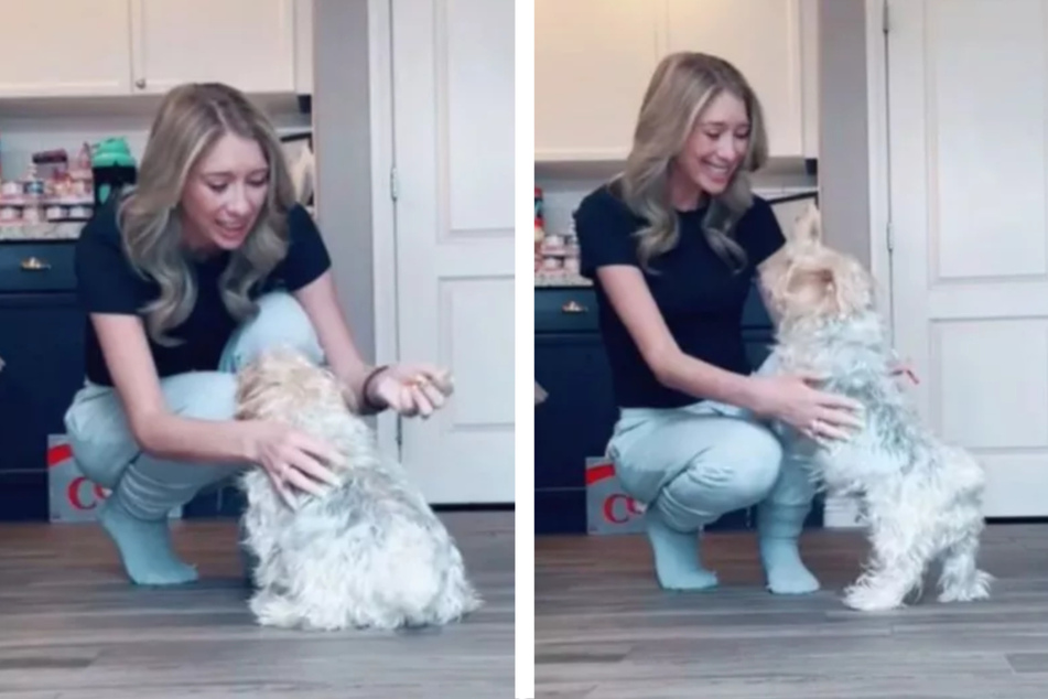 Dog becomes jealous of diabetic brother, so owner comes up with clever solution!