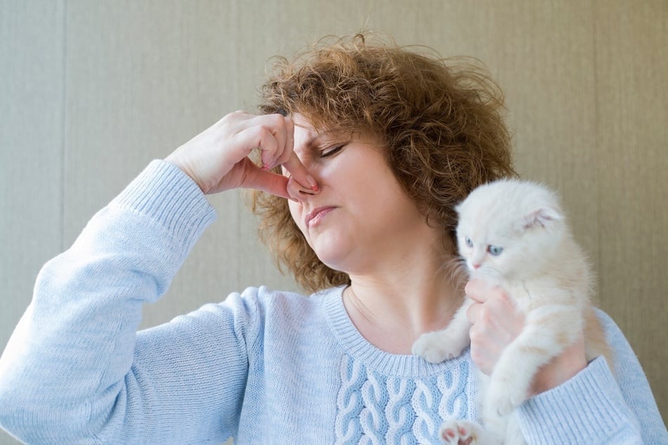 Why does my cat have bad breath?