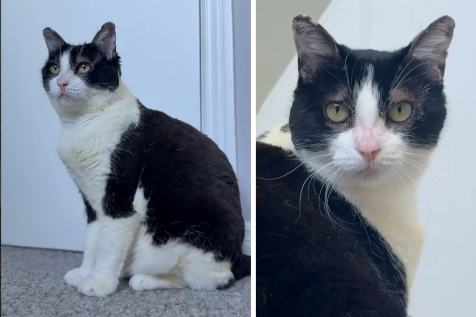 Beth has recovered in an incredible way within just a few months.