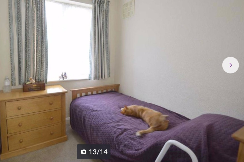 Freddy the cat could be seen in the screenshot of the neighbor's house ad on Zoopla.