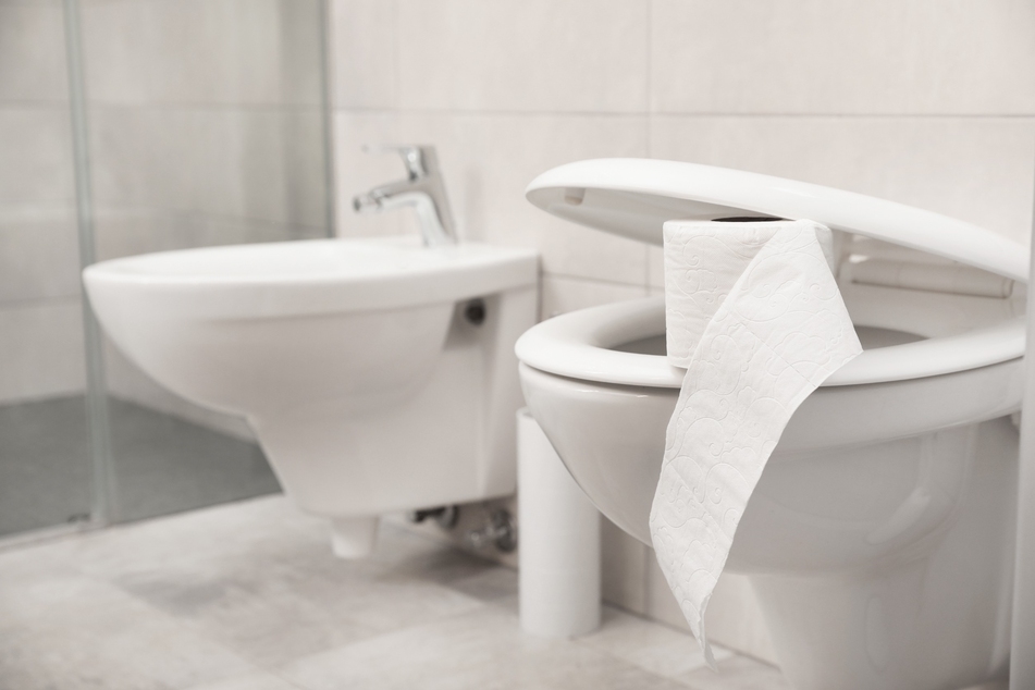 A toilet that can recognize its user's anus by its creases – similar to detecting fingerprints – won the public health prize at the 2023 Ig Nobel Award.