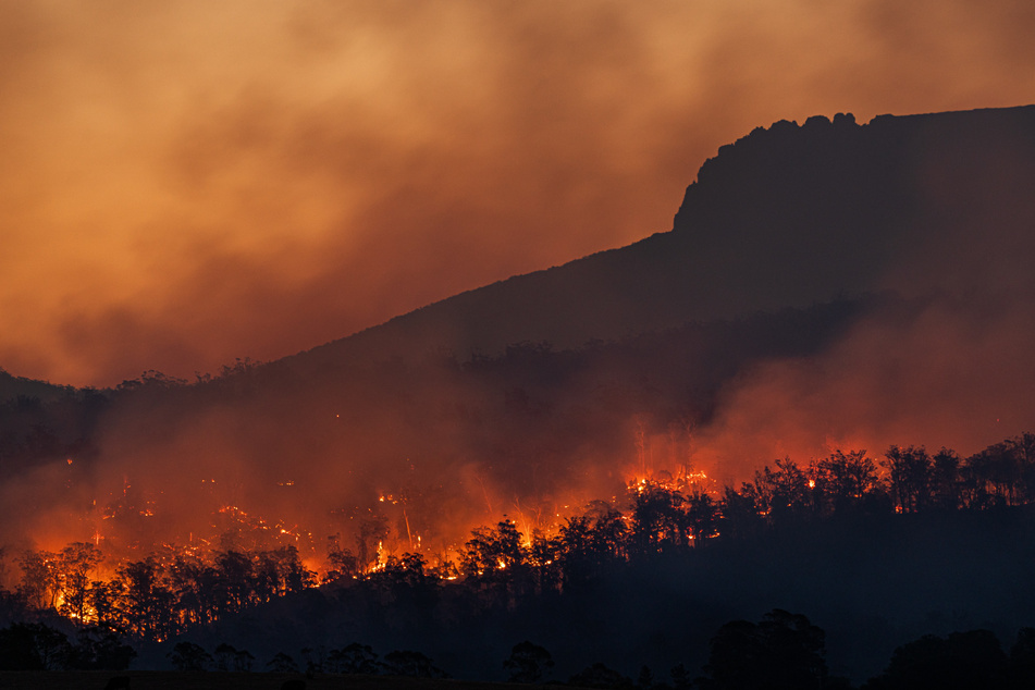 2023 is widely predicted to be the hottest year ever recorded.