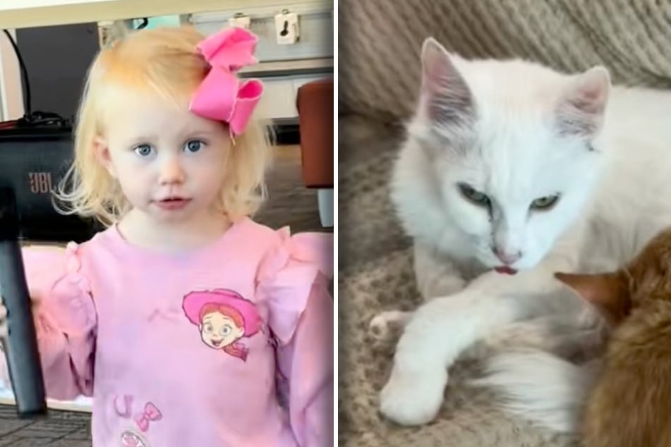 Little Carolina and Poppy the cat shared a special bond.