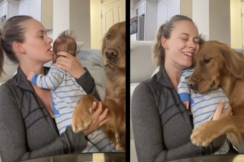 Dog rushes to comfort crying newborn baby brother in heartmelting video: "We don't deserve dogs"