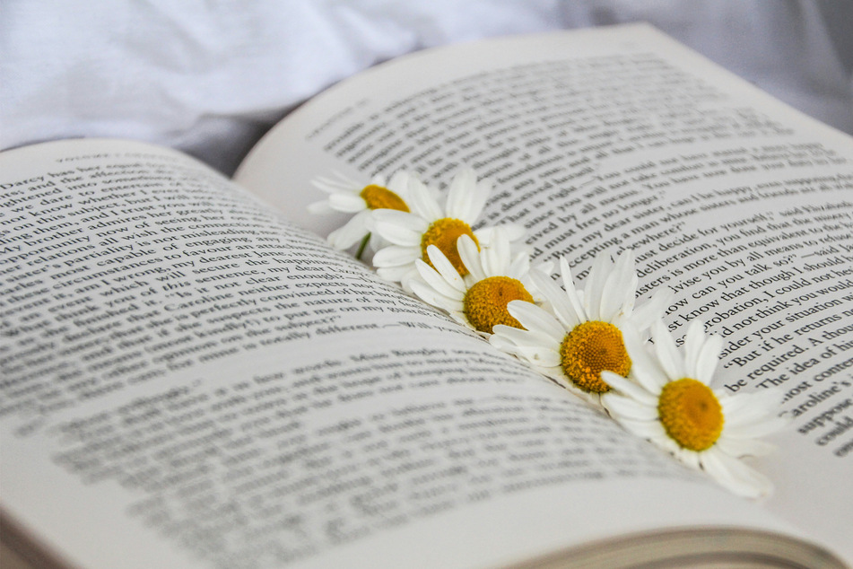 Book release radar: Most anticipated reads of May 2024