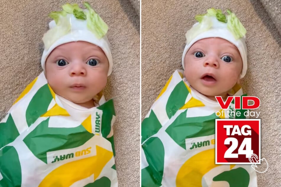 Viral Video of the Day for November 1, 2025: Baby goes viral dressed as mini Subway sandwich for Halloween!